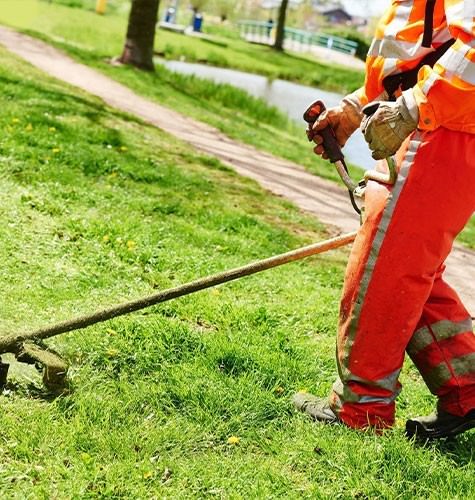 Стрижка газона в Коряжме