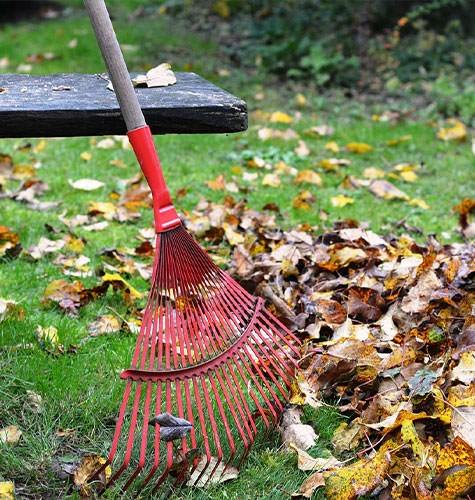 Уборка территории для организаций в Коряжме